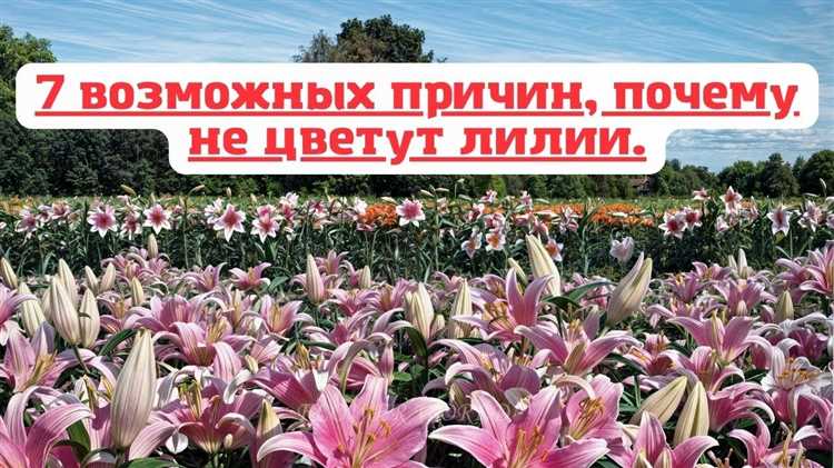 Качество воды в вазе: жёсткость, примеси и их влияние на бутоны