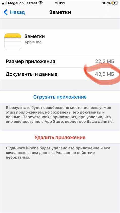 Роль загруженных видео и фото в росте объема приложения