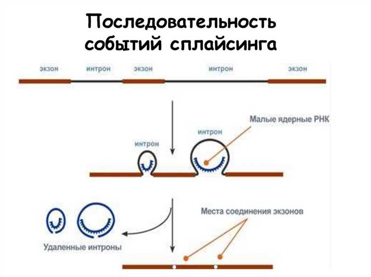 Использование клавиши Tab и стрелок для перемещения курсора к начальной ячейке