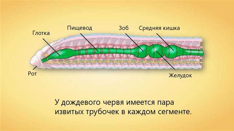 С какой ячейки начали выделение С какой ячейки начали выделение