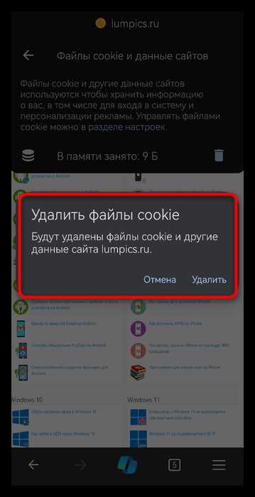 Удаление всех куки через параметры обозревателя