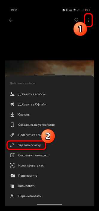 Проверка работоспособности и доступности ссылки