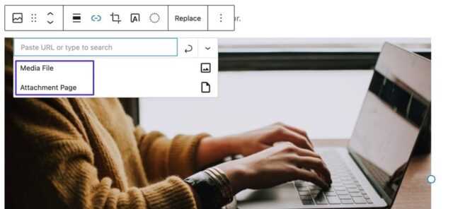 Отключение клика на ссылке в WordPress и других CMS