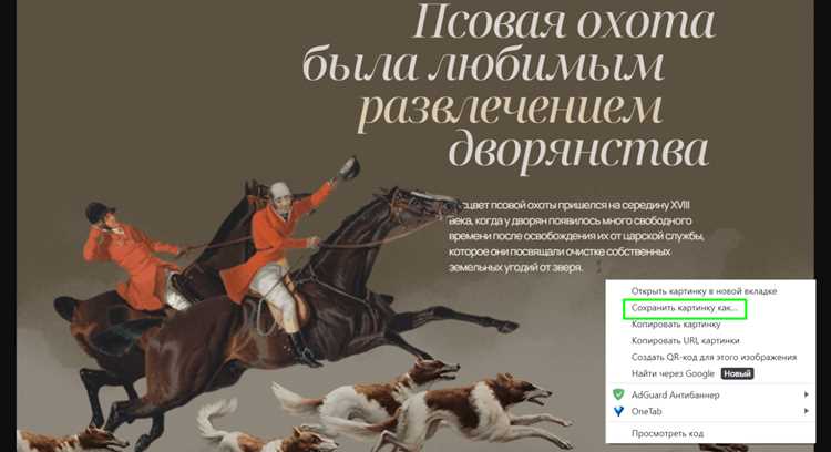 Как скачать все картинки с сайта Как скачать все картинки с сайта