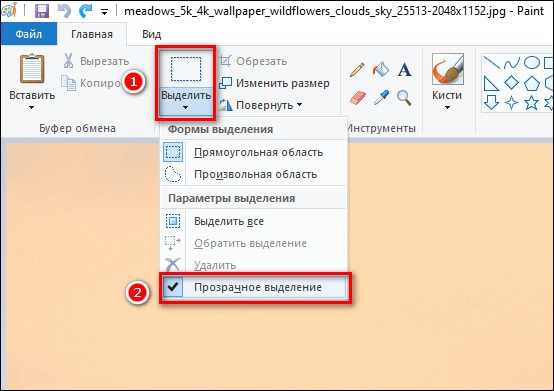 Как скопировать картинку без фона