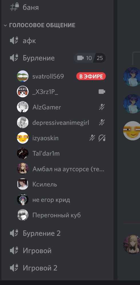 Проверка работоспособности и исправление ошибок в новой копии