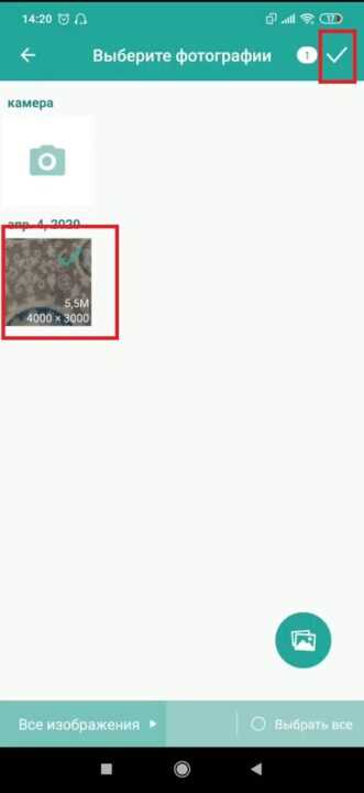 Автоматическое сжатие фото при резервном копировании в облако