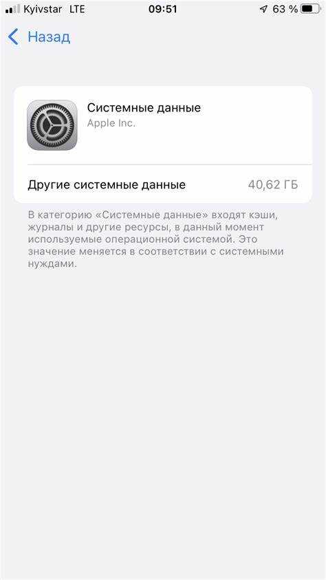 Какие настройки iPhone помогают автоматически удалять ненужные файлы