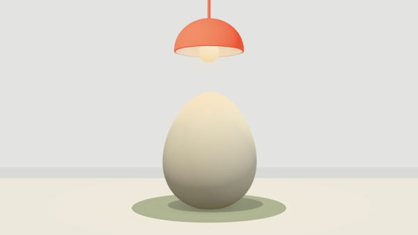 Хотела создавать продукт, а теперь моделирую гусиные яйца: 3D-тамагочи в Yet Another English Хотела создавать продукт, а теперь моделирую гусиные яйца: 3D-тамагочи в Yet Another English
