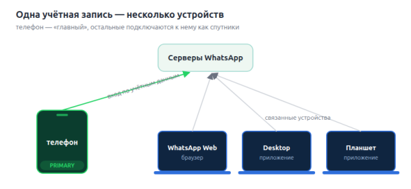 Primary и Secondary: как устроен мультидевайс WhatsApp* Primary и Secondary: как устроен мультидевайс WhatsApp*